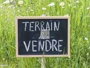 Recherche terrain agricole/ terrains boisés -secteur Guérande  Clis  la turballe