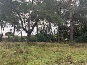 Terrain 1 000 m² Leognan