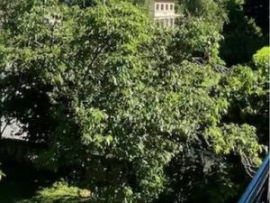 Apparemment à louer