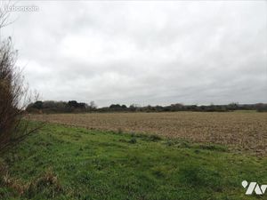 Bien Agricole 8785 m² ST VAAST LA HOUGUE