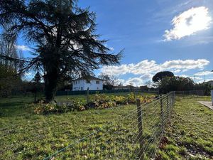 Terrain Montauban 1320 m2 (divisible en 2)