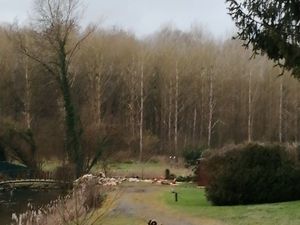 Propriété avec 3 maisons