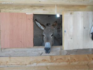 Maison de village avec un hectare et écurie