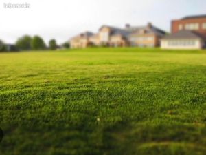 Recherche parcelle à acheter