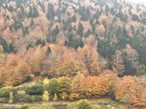 T4 Appartement Lourdes