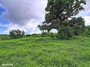Terrain 1828 m² Trinité