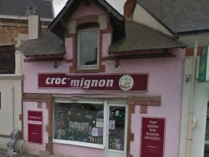 Fond de commerce salon de toilettage canin et félin