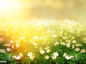 Terrain 884 m² Fontcouverte