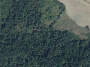 Deux parcelles boisées