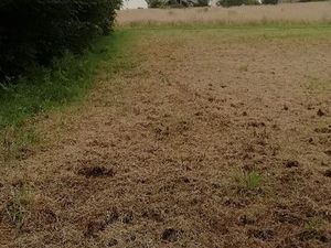 Terrains constructibles hors lotissement – Guiler-sur-Goyen (29710)