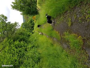 Terrain pour caravane