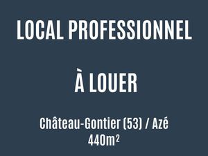 Local professionnel de 440 m²