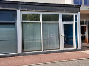 Local commercial professionnel