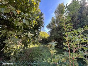 Location terrain pour potager