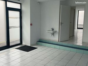 Location local professionnel