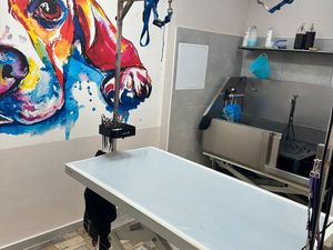 Local commercial salon de toilettage