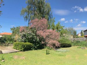 Grande maison 356m2 sur terrain arboré de 1447m2