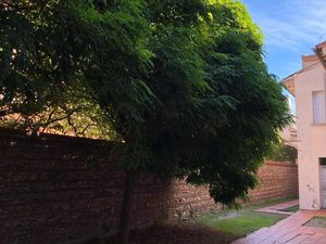 Studio avec mezzanine daurade