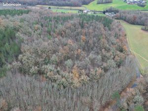 Forêt d'un seul tenant peuplement mixte