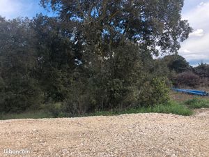 Terrain 1 500 m² La Baume De Transit