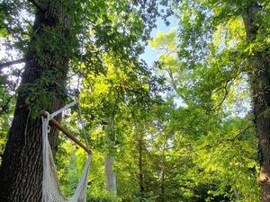Terrain de Loisirs de 1400m2 non constructible  boisé  à 500m de la Gare de Bois le Roi et