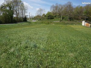 Terrain constructible