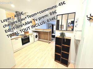 Appartement T2 meublé et rénové hypercentre Foix