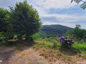 Hotel particulier 10 pièces 240 m²