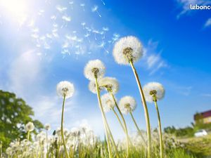 Terrain 667 m² Royan