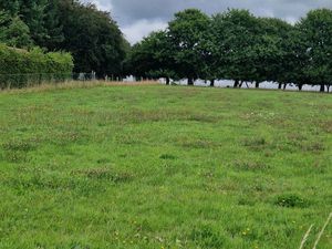 Terrain à bâtir à vendre