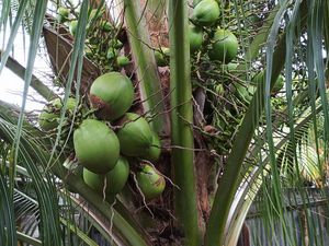 Charmant T3 à Trenelle-Citron - Location de 2 ans ou plus