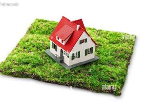 Location maison + jardin