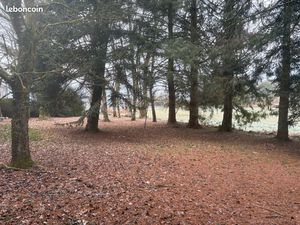 Terrain constructible