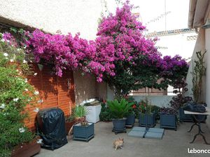 Maison 3 pièces 53 m²