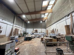 Local d'activité 1 195 m²