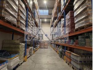 Local bureaux 1 113 m²