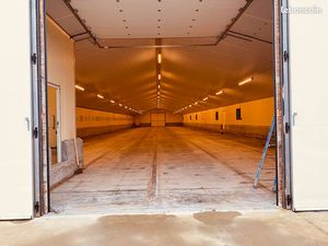 Batiment 1000 m2 isolé  bétonné