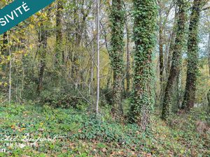 Terrain 10039 m² MEYRALS