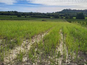 Terrain avec eau brl