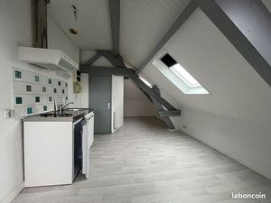 Loft 1 pièce 14 m²