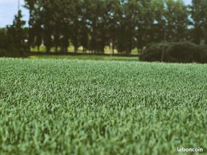 Terrain 448 m² Camphin En Carembault