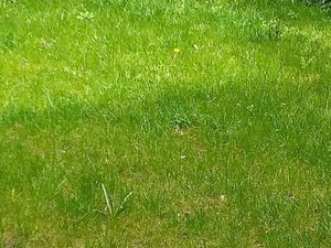 Terrain 1473 m² Theix-Noyalo