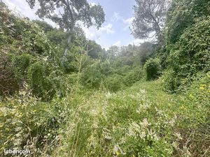 Terrain 1 305 m² Villeneuve Les Avignon