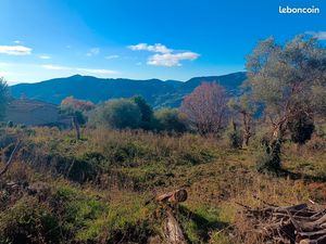 Terrain constructible