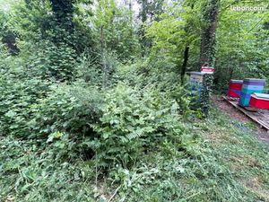 Terrain boisé Bretagne