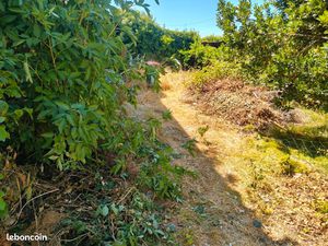 Terrain constructible