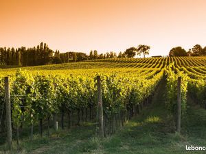 Terrain 1 280 m² Merignac