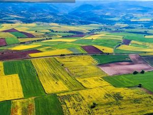 Recherche terres agricoles