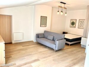 Grand studio meublé - centre ville GAILLARD