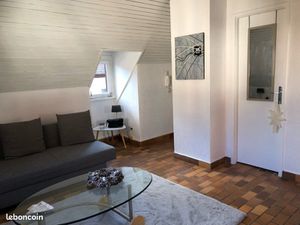 Location f1 cœur de Colmar